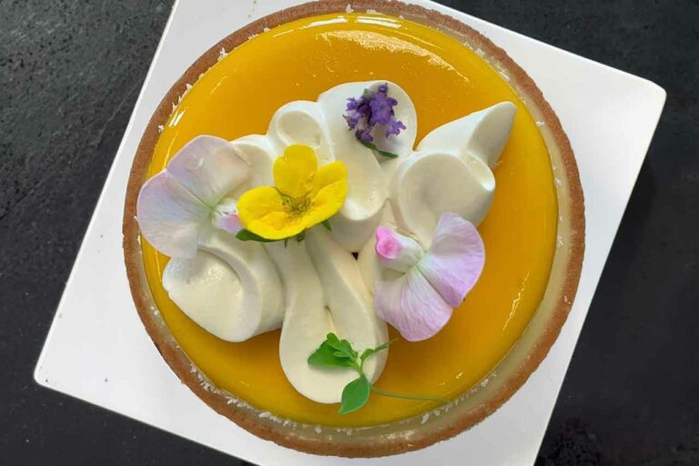 pfersich-jordi-puigvert-10