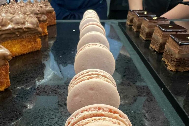 pfersich-tamara-seidenglanz-1